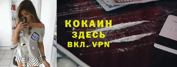 ALPHA PVP Богородицк
