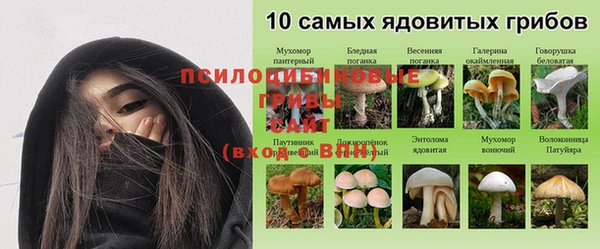 прущая мука Белоозёрский